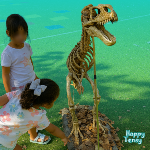 Gymkhana arqueologica